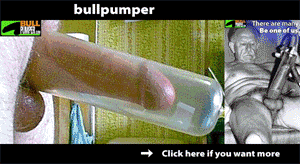 bullpumper